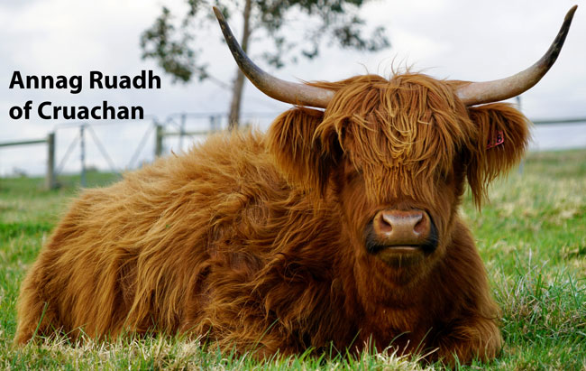 Annag Ruadh of Cruachan Annag Ruadh of Cruachan