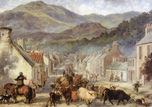 Drove of Highland Cattle through Callander village