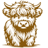 Cute Highland Calf sketch