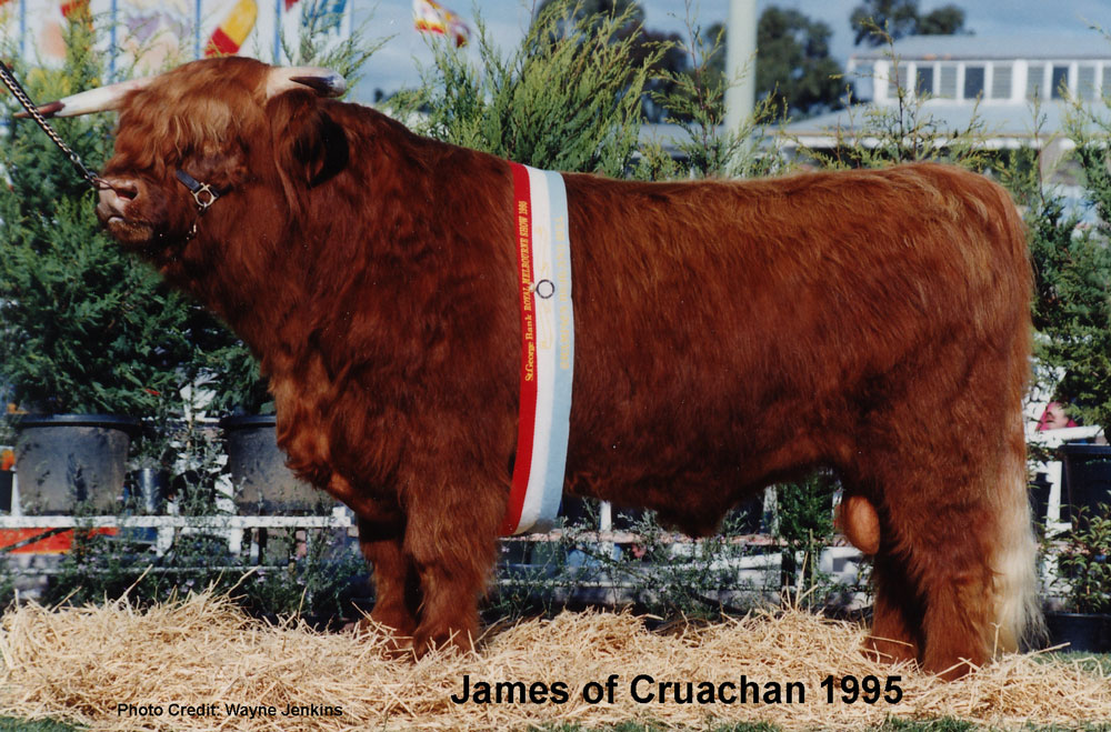 James at Royal Melbourne Show 1995
